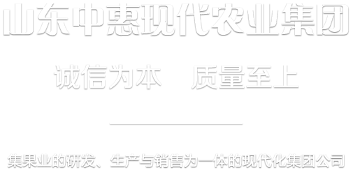 山东中惠现代农业集团脱毒矮化苹果苗木种植